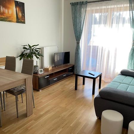 Appartement Apartman Jitka - Slunecna Louka à Černý Důl Extérieur photo